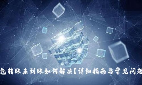 TP钱包转账未到账如何解决？详细指南与常见问题解析