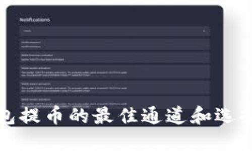 TP钱包提币的最佳通道和选择指南