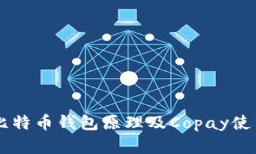 了解比特币钱包原理及Copay使用指南