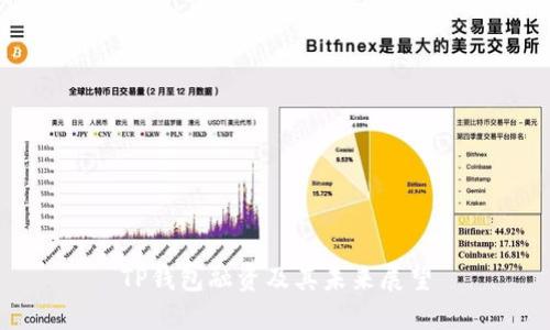 TP钱包融资及其未来展望