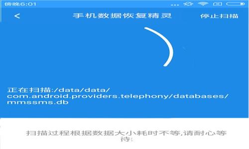 TP钱包如何转出至交易所：详细指南与常见问题解答