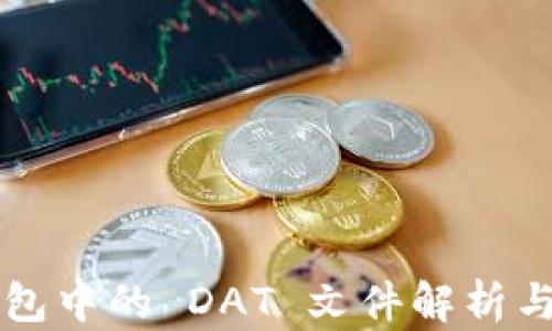 
比特币钱包中的 DAT 文件解析与使用指南