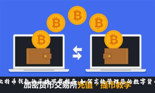 比特币钱包的区块下载指南：如何高效管理您的数字货币