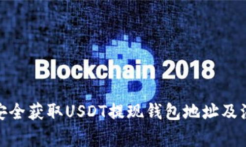 : 如何安全获取USDT提现钱包地址及注意事项