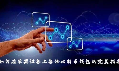 如何在苹果设备上备份比特币钱包的完美指南