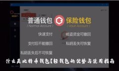 什么是比特币钱包？轻钱包的优势与使用指南