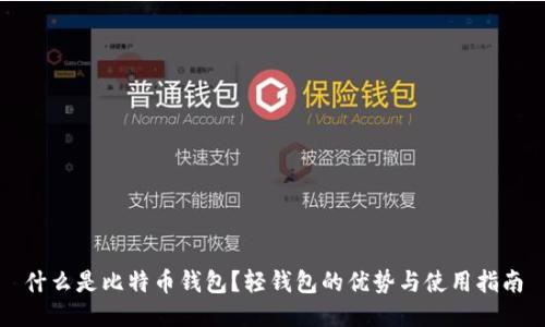 什么是比特币钱包？轻钱包的优势与使用指南