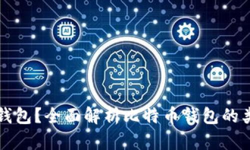 什么是比特币钱包？全面解析比特币钱包的类型和选择指南