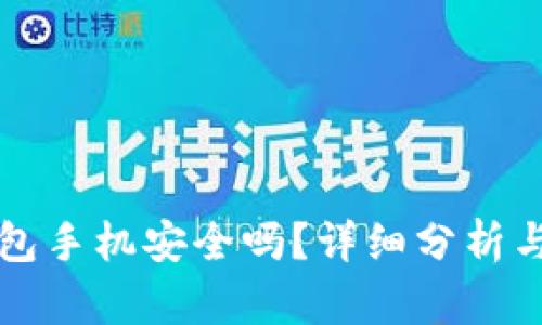 比特币钱包手机安全吗？详细分析与使用技巧