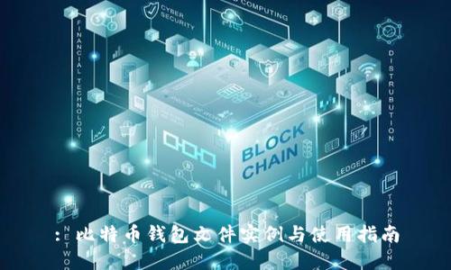: 比特币钱包文件实例与使用指南