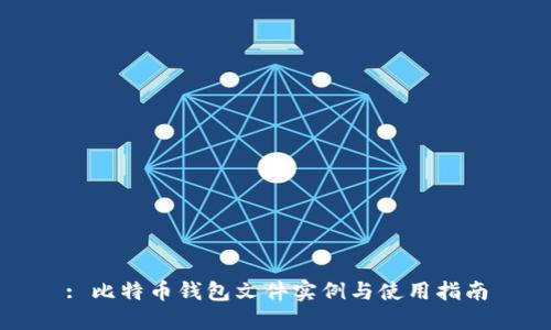: 比特币钱包文件实例与使用指南