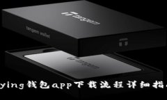 bying钱包app下载流程详细指