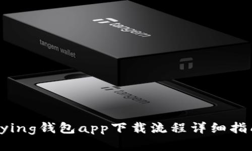 bying钱包app下载流程详细指南