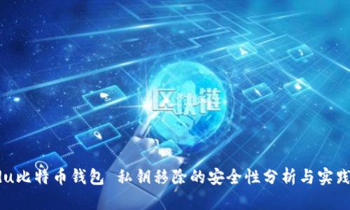 oardu比特币钱包 私钥移除的安全性分析与实践指南