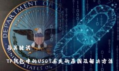 与关键词TP钱包中的USDT丢