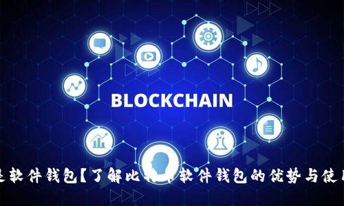 什么是软件钱包？了解比特币软件钱包的优势与使用技巧