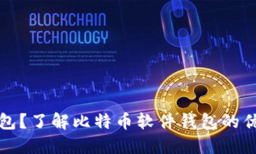 什么是软件钱包？了解比特币软件钱包的优势与使用技巧