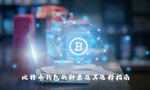 比特币钱包的种类及其选择指南