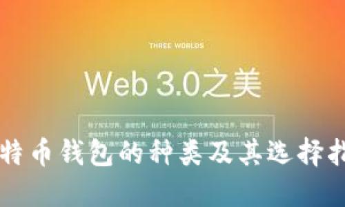 比特币钱包的种类及其选择指南